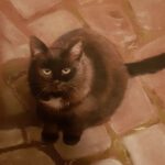 Pastellbild Katze Maunzi