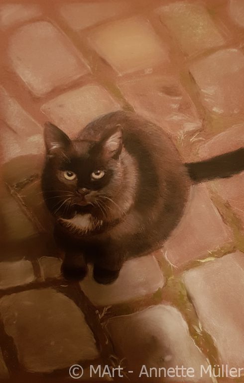 Pastellbild Katze Maunzi
